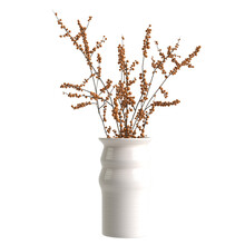 3d Illustration Of Flower Vase Decor Isolated On Transparent Background