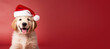 © JoelMasson - Happy Golden Retriever puppy wearing a Santa hat. Christmas pet theme banner design with copy space. Generative AI image