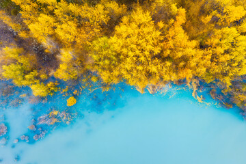 Wall Mural - aerial view. fall forest in turquoise water. natural scenery in fall time. mountain lake and trees. 