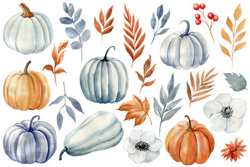 watercolor pumpkin, flowers and tree leaves. vintage fall botanical clipart. hand-painted illustrati