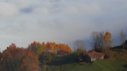 Wall Mural - Beautiful view of green valley hills with colorful trees with smoke and hazy sky on the horizon