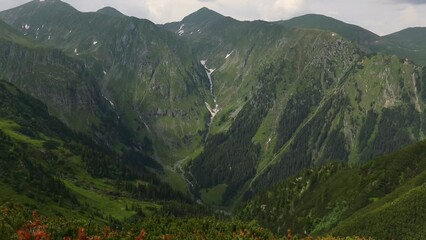 Sticker - Scenic view of high rocky mountains covered with grass and trees on a cloudy day