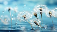  A Dandelion With Drops Of Water On The Top Of It.  Generative Ai