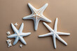 © Methsara - Starfish on the beach