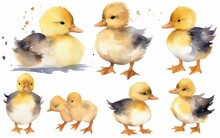 Watercolor Baby Duck For Graphic Resources, Generative AI