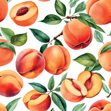 Hand Drawn Watercolor Peach Painting On White Background. Fruit Vector Illustration. Pattern Watercolor Fruit.