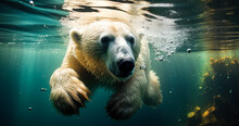 Playful Polar Bear: Swimming Underwater Adventure