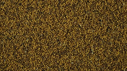 Wall Mural - White mustard seeds, close-up. 4K Video, Rotating. Mustard seeds are an excellent site rate for enriching soil with organic matter. They have fungicidal and bactericidal properties.