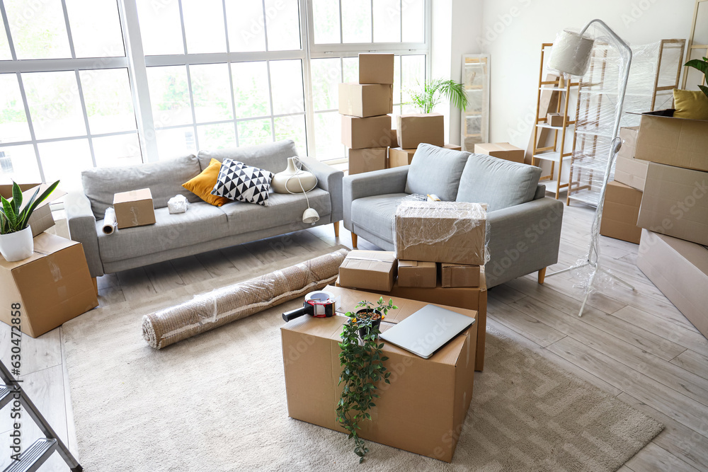 Sofas with cardboard boxes in living room on moving day