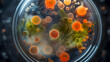 a petri dish with fungal spores (Generative AI)