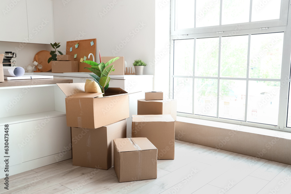 Counters with cardboard boxes in kitchen on moving day