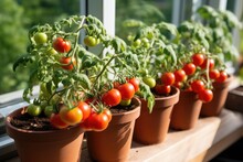 During The Summer, There Is A Charming Display Of Cherry Tomatoes Growing In Small Brown Pots On A White Windowsill. These Pots Create A Mini Garden On The Balcony, Allowing For The Cultivation Of