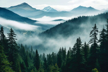 The Mountains Are Covered In A Layer Of Mist, Which Is Thicker In The Valleys And Thinner On The Peaks. The Foreground Consists Of A Dense Forest Of Coniferous Trees