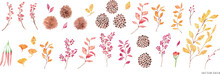 水彩画。水彩タッチの松ぼっくりと秋の木の実のベクターイラストセット。Watercolor. Vector Illustration Set Of Pine Cones And Autumn Berries With Watercolor Touch.