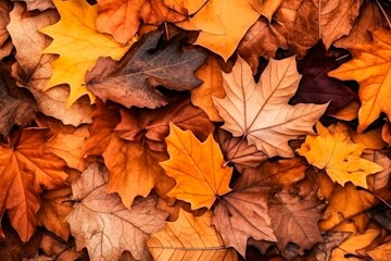 Canvas Print - Dried autumn leaves texture background, crunchy and colorful foliage, seasonal and rustic surface, cozy and nostalgic