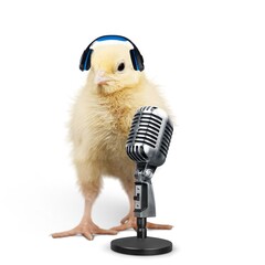 Sticker - Cute crazy fluffy chick with headphones and a microphone