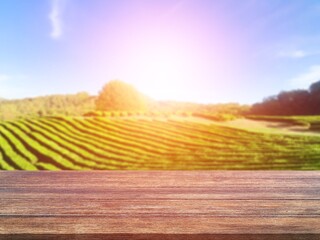 Poster - Wooden empty table top on green field background