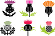 Multi color Milk thistle (Silybum marianum). Thistle burdock  set, Scottish flower. Blossom plant. Editable vector,Easy to reuse in designing. eps 10.