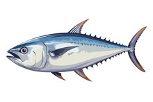 Tuna Fish Vector Art Still Life Painting Flat Illustration