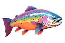 Rainbow Trout Fish Vector Art Still Life Painting Flat Illustration