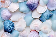 Seamless Pattern Featuring Sea Shells In White, Blue, And Purple Hues. Ideal For Wallpapers And Brings A Calm, Oceanic Vibe To Any Space