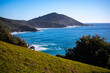 panorama of new south wales coast in hat head national park; green hills coverd with juicy grass by the ocean, beautiful beach surrounded by cliffs in australia, o'connors beach in hat head
