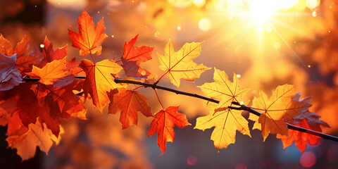 Wall Mural - Branch with maple leaves in sunlight and glitter effect. Autumn leaf fall