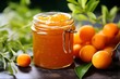 Golden Delight in a Jar: A close-up view of luscious apricot jam glowing in a glass jar, a symbol of preserved summer sweetness
