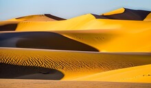Sand Dune In The Desert