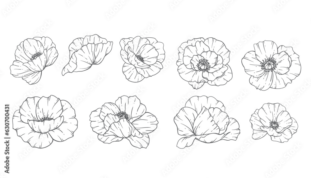 Poppy Flower Line Art, Fine Line Poppy Bouquets Hand Drawn Illustration ...
