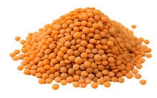 An Illustration Of Lentils Isolated On A White Background, Generative Ai