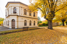An Historic Bank Building On A Street Corner Of A Rural Town With Golden Autumn Trees
