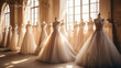 Various elegant wedding dresses in shop