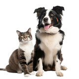 Fototapeta Do akwarium - happy dog and cat isolated on transparent background
