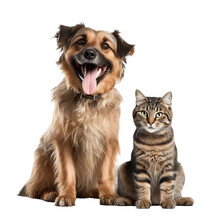 Happy Dog And Cat Isolated On Transparent Background