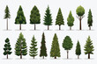 © Zaharia Levy - pine trees set vector flat minimalistic isolated illustration