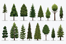Pine Trees Set Vector Flat Minimalistic Isolated Illustration