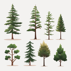 Canvas Print - pine trees set vector flat minimalistic isolated illustration