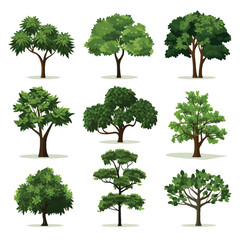 rain forest trees set vector flat minimalistic isolated illustration
