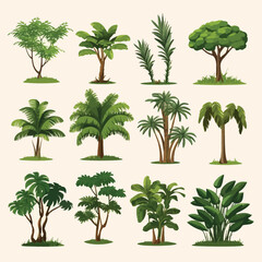 Wall Mural - rain forest trees set vector flat minimalistic isolated illustration