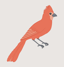 Northern Red Cardinal Bird Icon. Cute Small Bird Icon Isolated On A Background. Vector Illustration For Print, Web Or Nature Design.