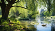 A picture of a serene pond in a farm setting with ducks swimming and a willow tree on the bank.