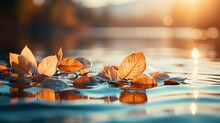Beautiful Leaves Fall On The Water. Autumn With Sunset In The Afternoon
