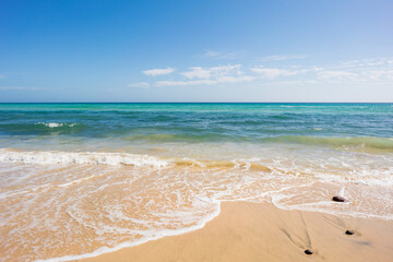 Wall Mural - sandy summer sea beach