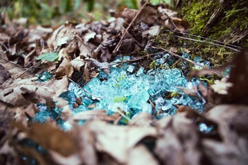 Sticker - Closeup shot of crystals among fallen leaves