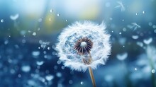 A Dandelion With Drops Of Water On A Blue Background.  Generative Ai