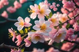Fototapeta Kwiaty - cherry blossom sakura flower on blue sky background, ai generative