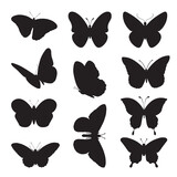 Fototapeta  - butterfly silhouette collection isolated black vector illustration