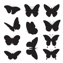 Butterfly Silhouette Collection Isolated Black Vector Illustration