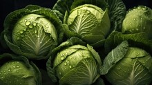 Fresh Cabbage With Water Drops On Nature Background, Top View.